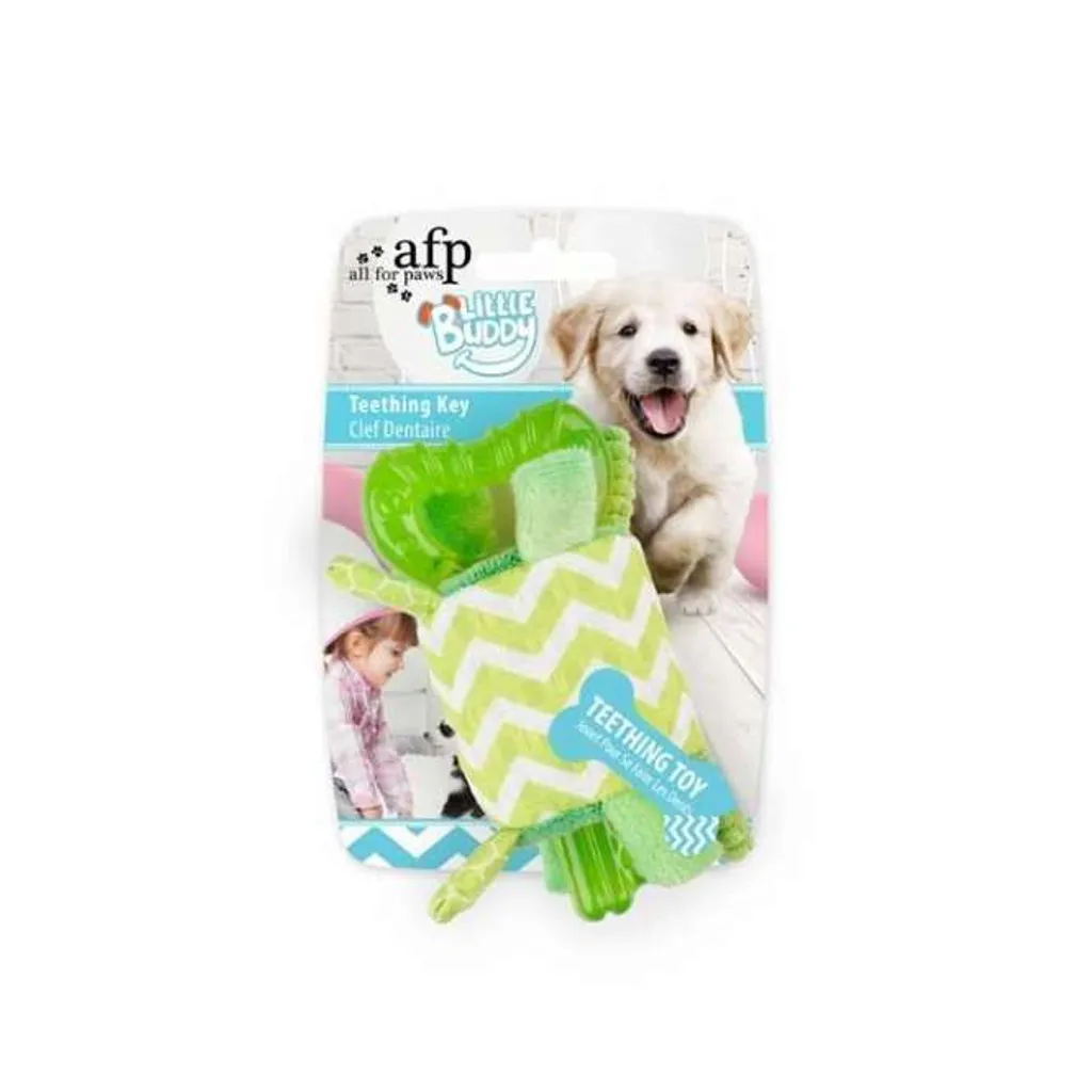 Gioco Dentizione All for Paws Little Buddy: Divertimento Verde