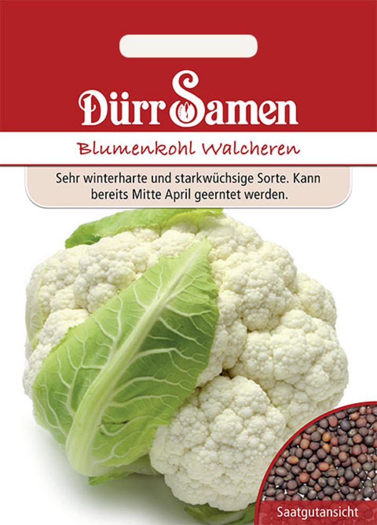 Dürr-Samen - Blumenkohl Walcheren - Saatgut - 0981