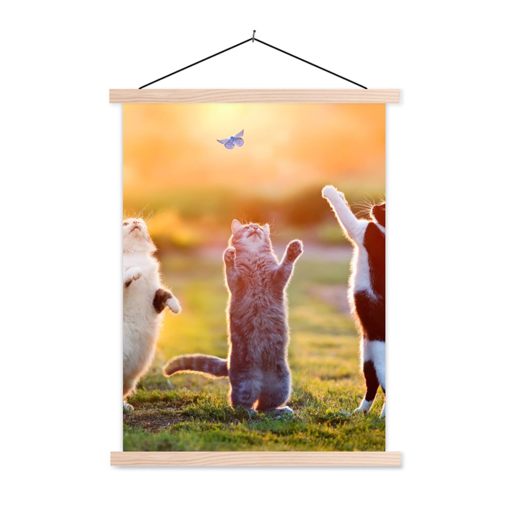 MuchoWow Textilposter Katzen - Schmetterling - Sonnenuntergang - Gras - Natur 60x80 cm mit holzfarbenen Rahmen - Wandbild