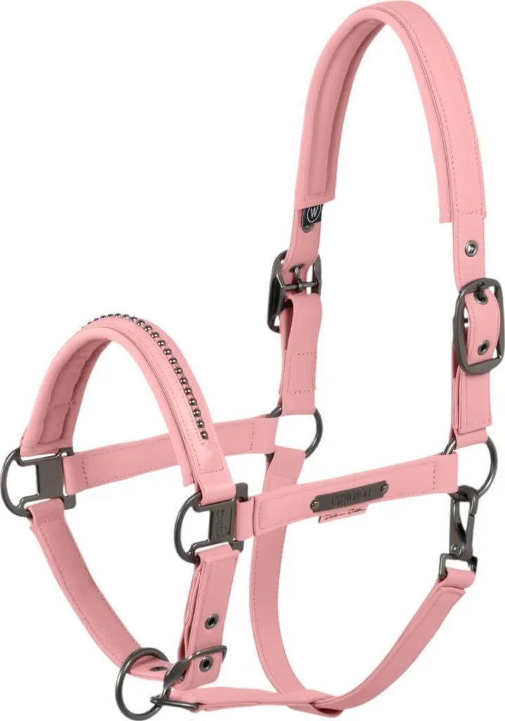 Specifiche Cavezza Eskadron Softshell Perle Doppio Pin Platino 2025 P2