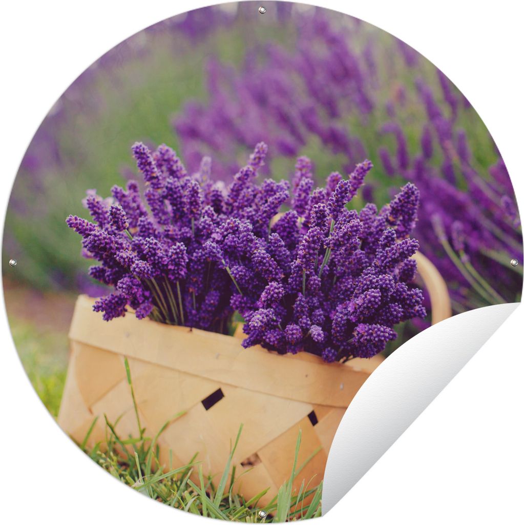 MuchoWow Gartenposter Outdoor-Poster Rund Frischer Lavendel in einem Korb Ø 90 cm Gartendeko Rundes Poster draußen