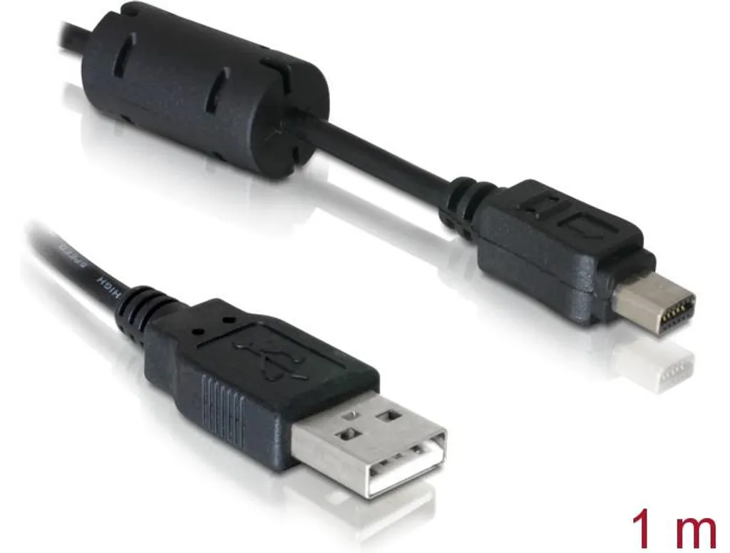 Câble USB Olympus 12-Pin DeLOCK 1m pour transfert photo haute vitesse