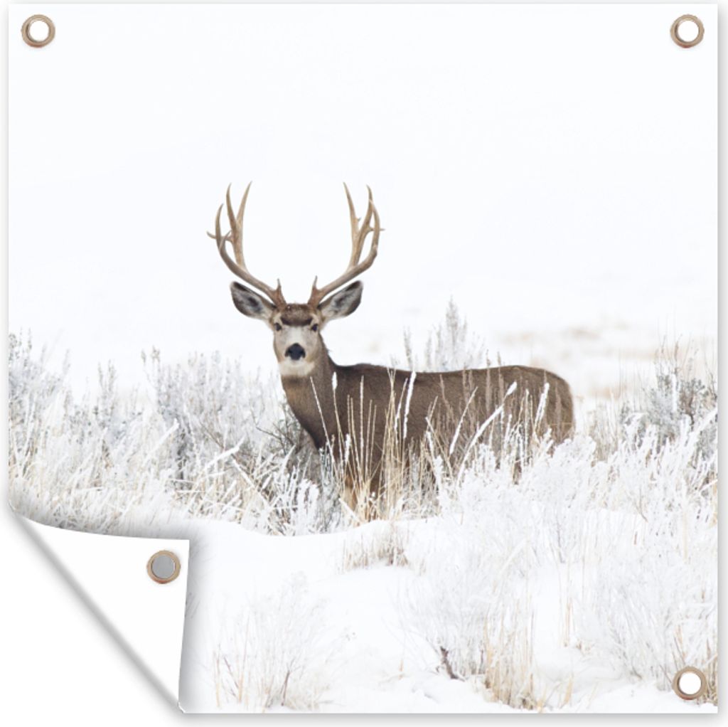 MuchoWow 100x100 cm Outdoor-Poster Gartendeko Sichtschutz Garten Poster für den Garten Hirsche - Winter - Schnee - Tiere - Jahreszeiten - Weiß
