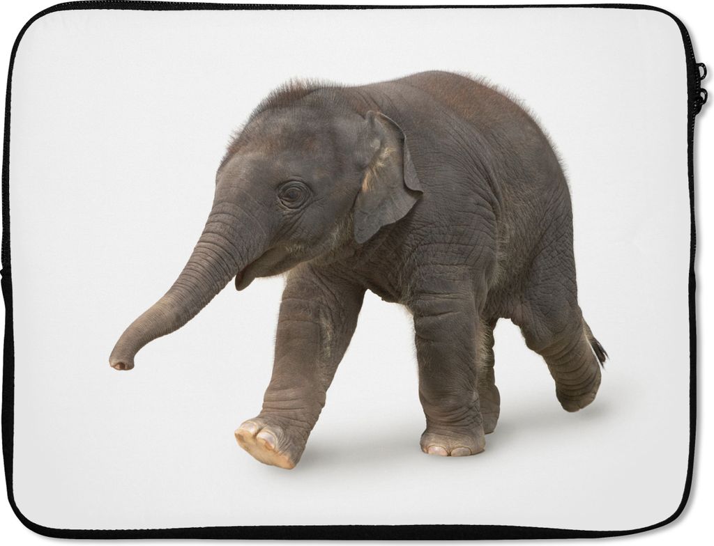 MuchoWow Laptop Hülle 17 Zoll Laptoptasche Kleiner Elefant auf weißem Hintergrund - Zipper - Schutzabdeckung