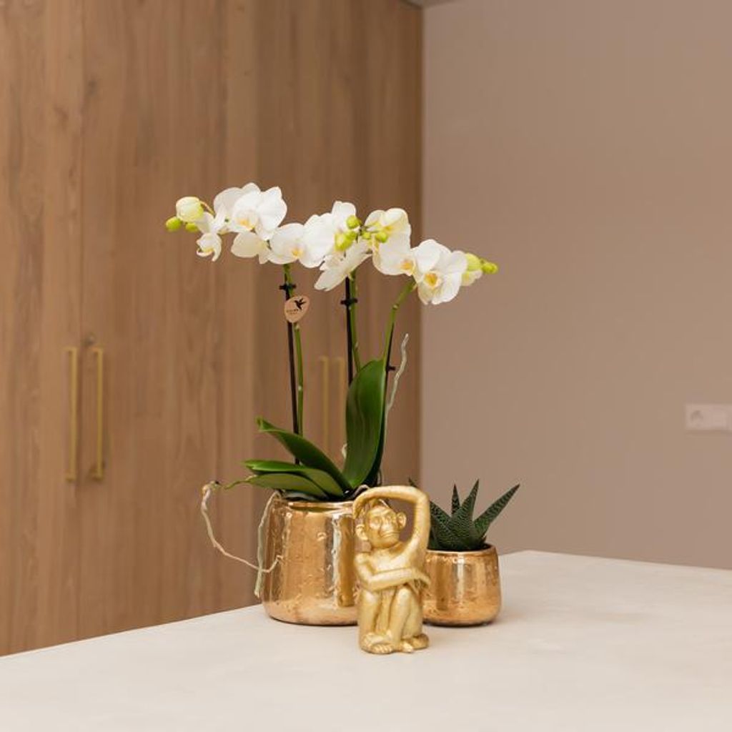 Dekofigur Affe Gold 13cm – Dekoskulptur Affen Figur Wohn Deko Ornament