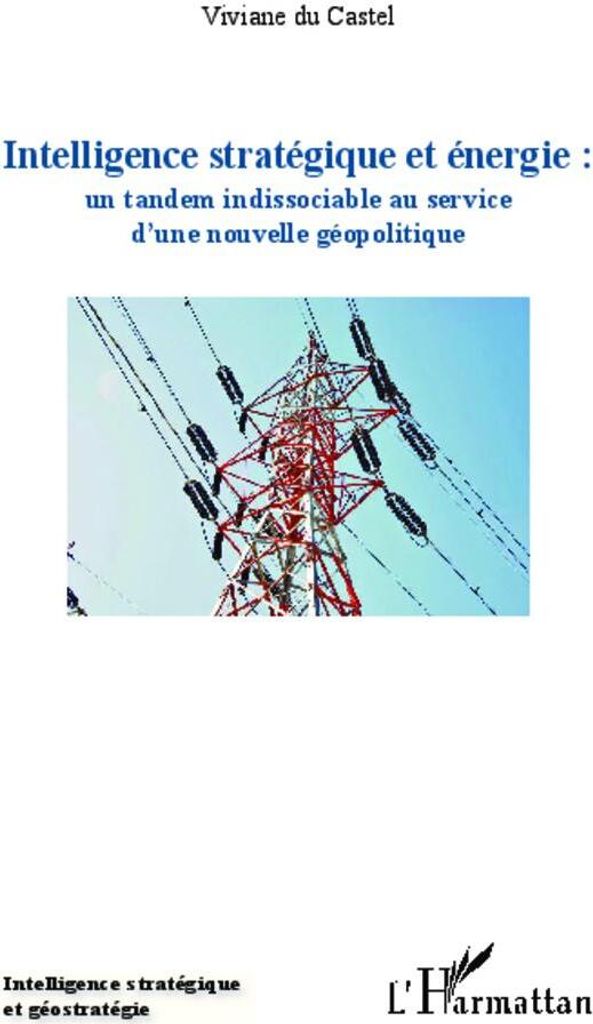 Intelligence stratégique et énergie : un tandem indissociable au service d'une nouvelle géopolitique