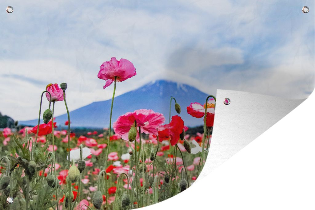 MuchoWow 120x80 cm Outdoor-Poster Gartendeko Sichtschutz Garten Poster für den Garten Rosa Mohnblumen für einen Berg