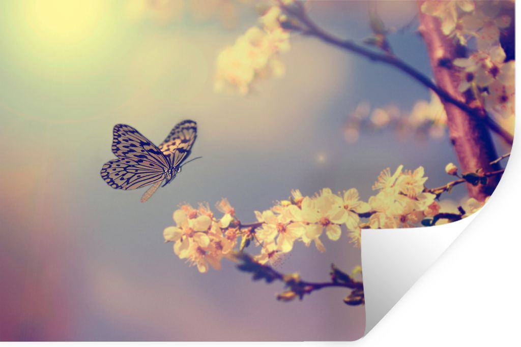 MuchoWow Wandtattoo Wandsticker Wandaufkleber Schmetterlinge - Blüte - Zweig - Baum 60x40 cm Selbstklebend und Repositionierbar - Wierderverwend...