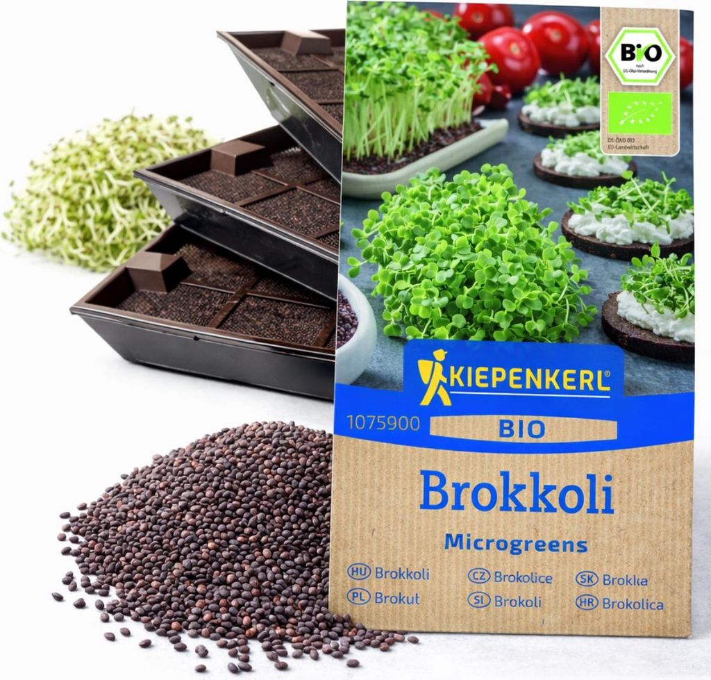 Samenshop24®  Keimsprossen "Brokkoli" Anzucht-SET,  Saat + Produktbild 