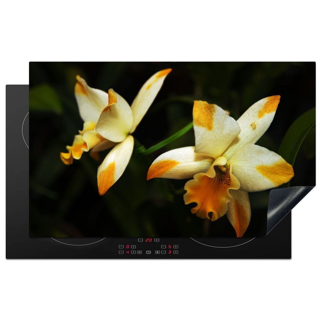 KitchenYeah Herdabdeckplatte Zwei Orchideenblüten , 85x52cm, Küche Deko, Glaskeramikkochfeld Herdabdeckung, Abdeckplatte fùr Kochfeld