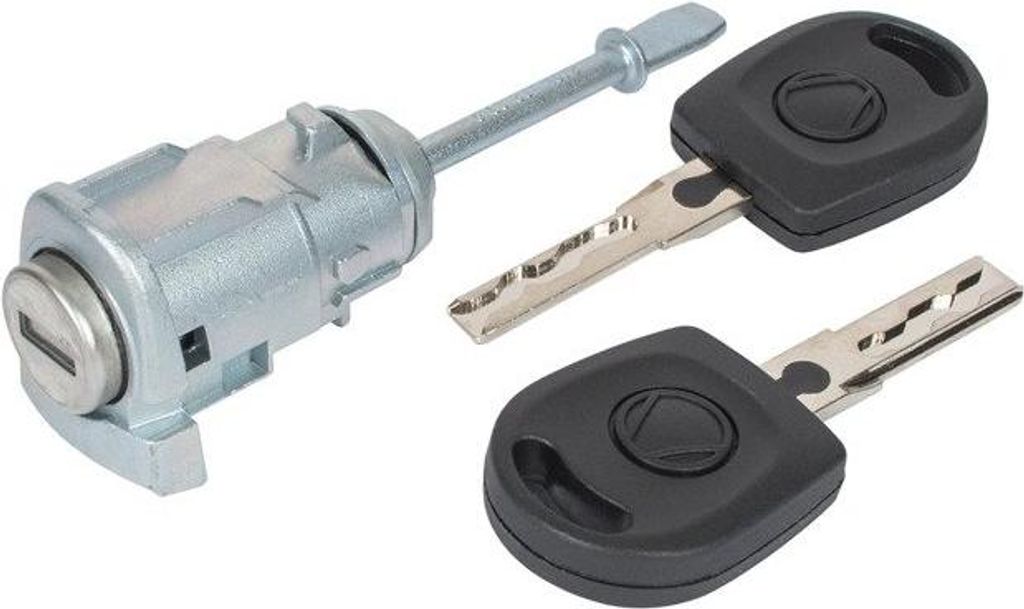 Türschloss Schließzylinder VORNE LINKS + Schlüssel für Seat Ibiza 6L 2002-2006