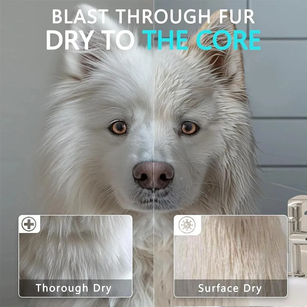 Sèche-cheveux chien silencieux - Séchage rapide air chaud 5,2 CV Pro - 2