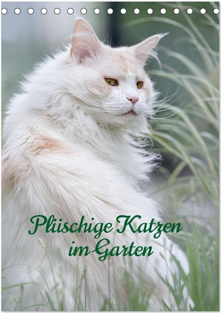 Plüschige Katzen im Garten (Tischkalender 2026 DIN A5 hoch), CALVENDO Monatskalender