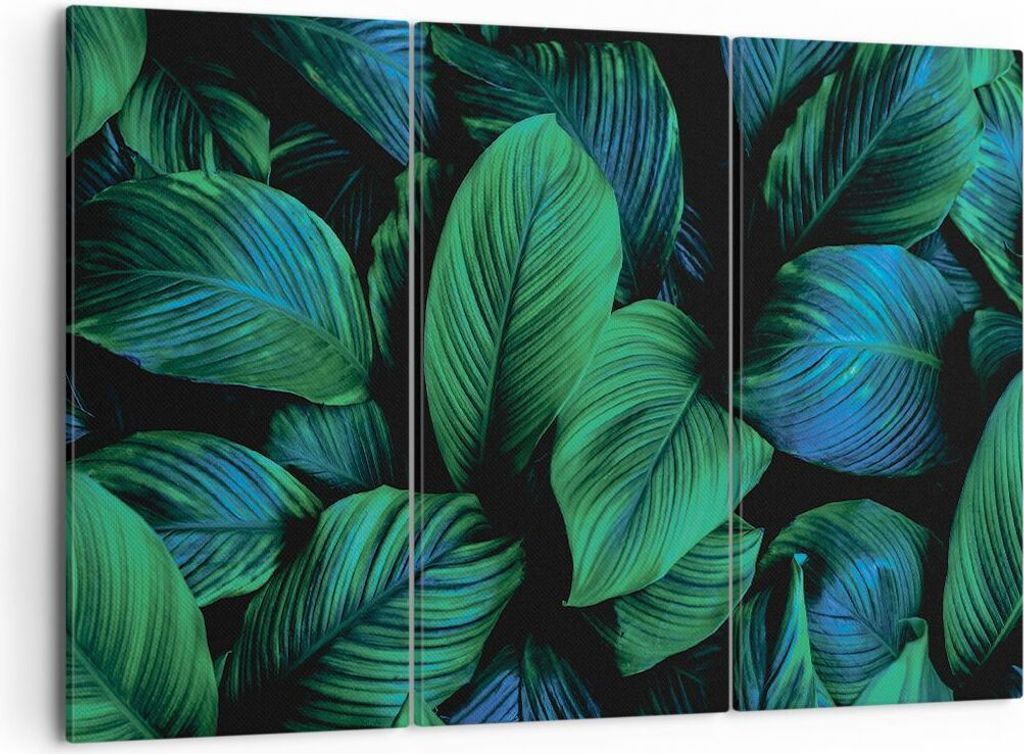 Bild auf Leinwand - Leinwandbild - 3 Teile - Blätter Pflanzen Exotik - 105x70cm - Wand Bild - Wanddeko - Wandbilder - Leinwanddruck - Bilder - Wan...