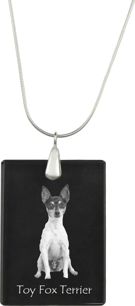 Toy fox terrier - Ciondolo in cristallo con cane, collana in argento con foto, ciondolo personalizzato del marchio Art-Dog