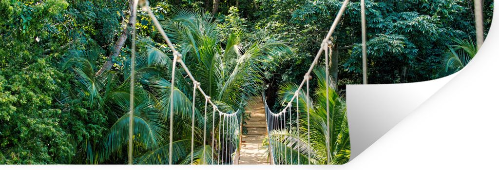 MuchoWow Wandtattoo Wandsticker Wandaufkleber Dschungel - Palme - Brücke - Natur - Pflanzen 60x20 cm Selbstklebend und Repositionierbar - Falten...