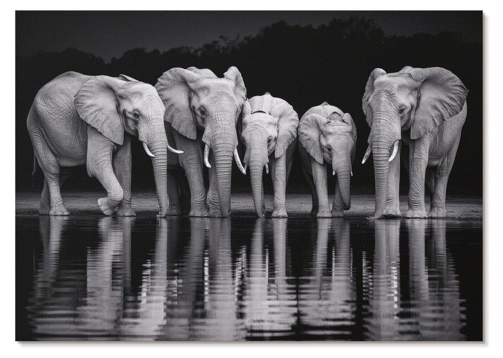 POSTER - 42x29 cm (A3) - Project Concept - Elefanten am Wasser, friedliche Harmonie und Spiegelung - Wandbild für Wohnzimmer Schlafzimmer & Flur, ...