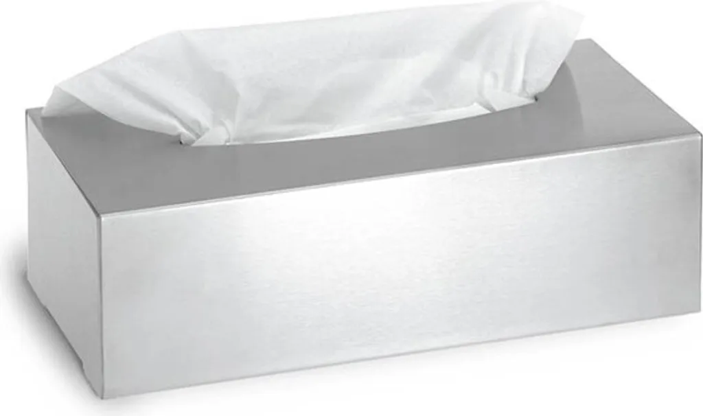 Boîte à mouchoirs Nexio Blomus 66653 : fini le carton humide en inox