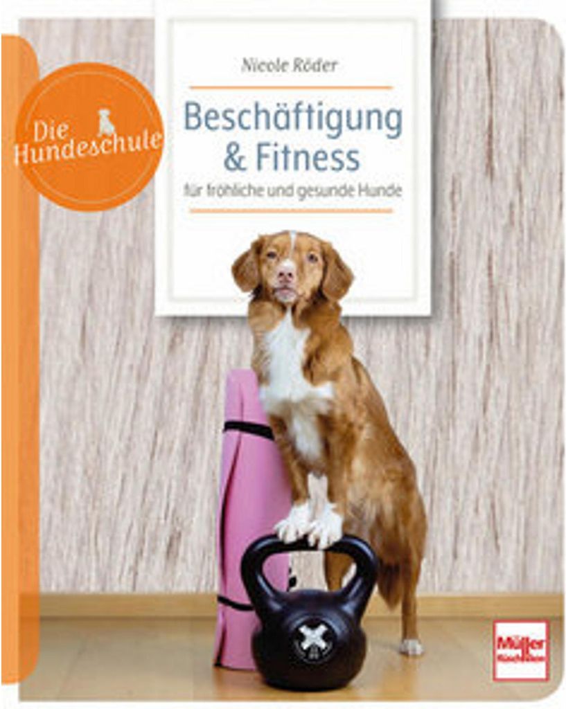Beschäftigung & Fitness für fröhliche und gesunde Hunde