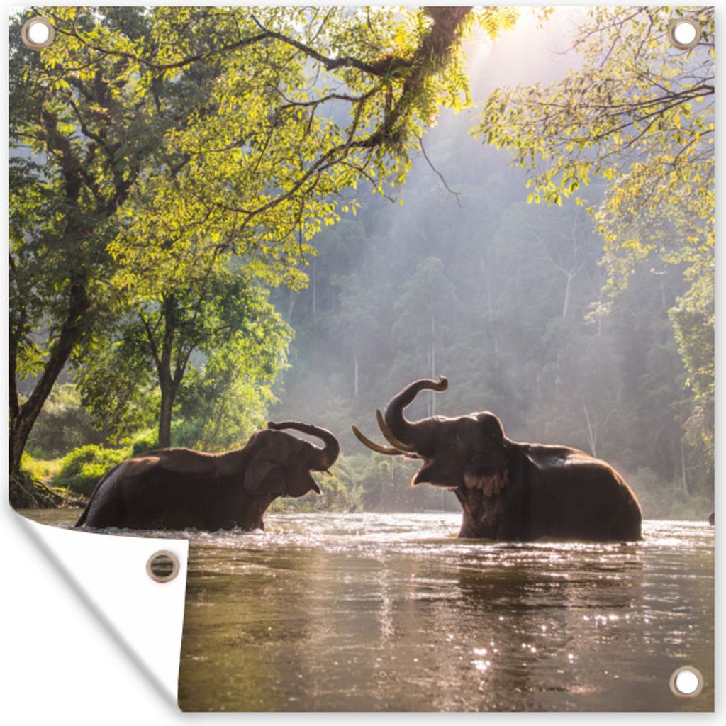 MuchoWow 100x100 cm Outdoor-Poster Gartendeko Sichtschutz Garten Poster für den Garten Elefanten in der Sonne spielen