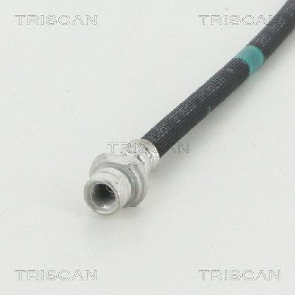 TRISCAN Bremsschlauch Außen Hinten 8150 13409
