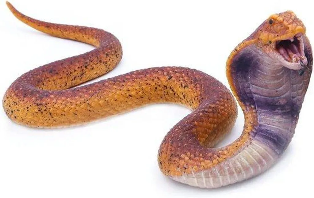 Serpent en caoutchouc réaliste anti-oiseaux - Tuyau élastique durable