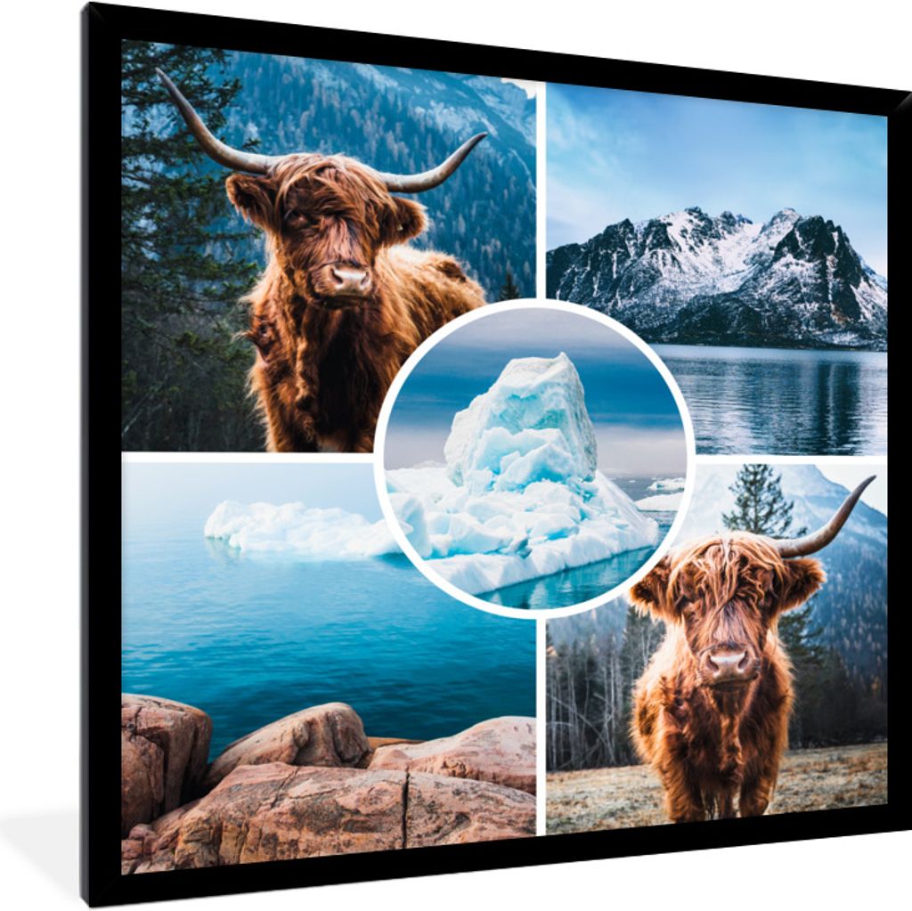 MuchoWow Gerahmtes Poster Schottischer Highlander - Collage - Eis - Berg 40x40 cm - Poster mit Schwarzem Bilderrahmen Wandposter Rahmen Foto Bild...