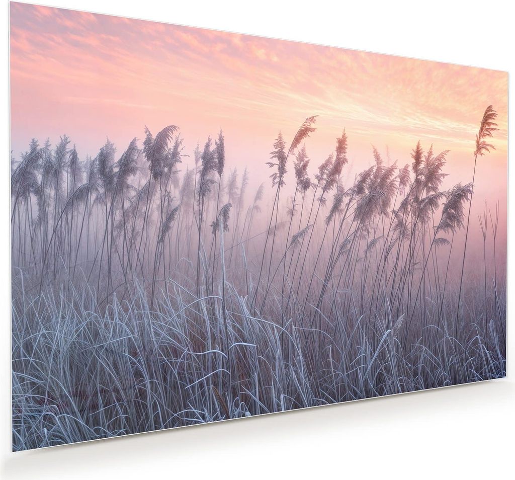 Glasbild 120x80cm in XXL für Wohnzimmer, Schlafzimmer Motiv Nebelwiese am Morgen