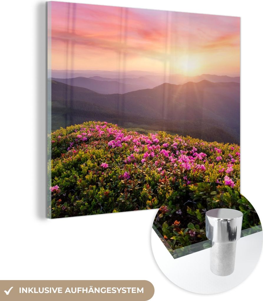 MuchoWow Glasbilder - Bilder auf Wandbild - Foto auf Glas Blumen - Berg - Sonnenuntergang - Landschaft 50x50 cm Wanddekoration aus Glas - Acrylglas...