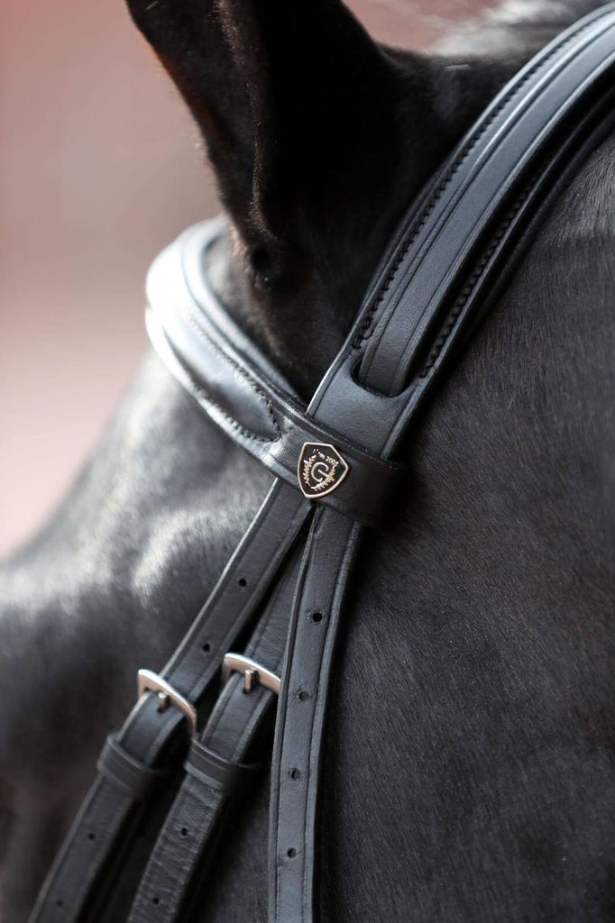 Covalliero Zaumzeug Cancun Pony Schwarz Produktbild 7