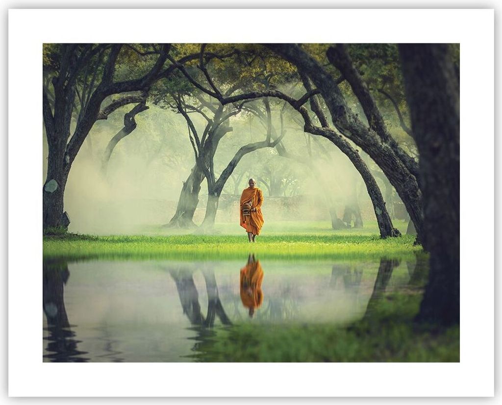 Poster - Poster ohne Rahmen - Mönch Wald Nebel - 50x40 cm - Wand Bild - Wanddeko - Wandbilder - Kunstposter - Wandposter - Bilder - Kunstdruck - W...