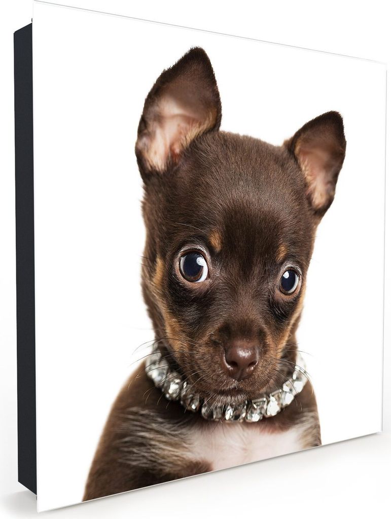 Nachbildung-Schlüsselkasten, Magnetpinnwand und Memoboard mit Glasfront Motiv Niedlicher Hund