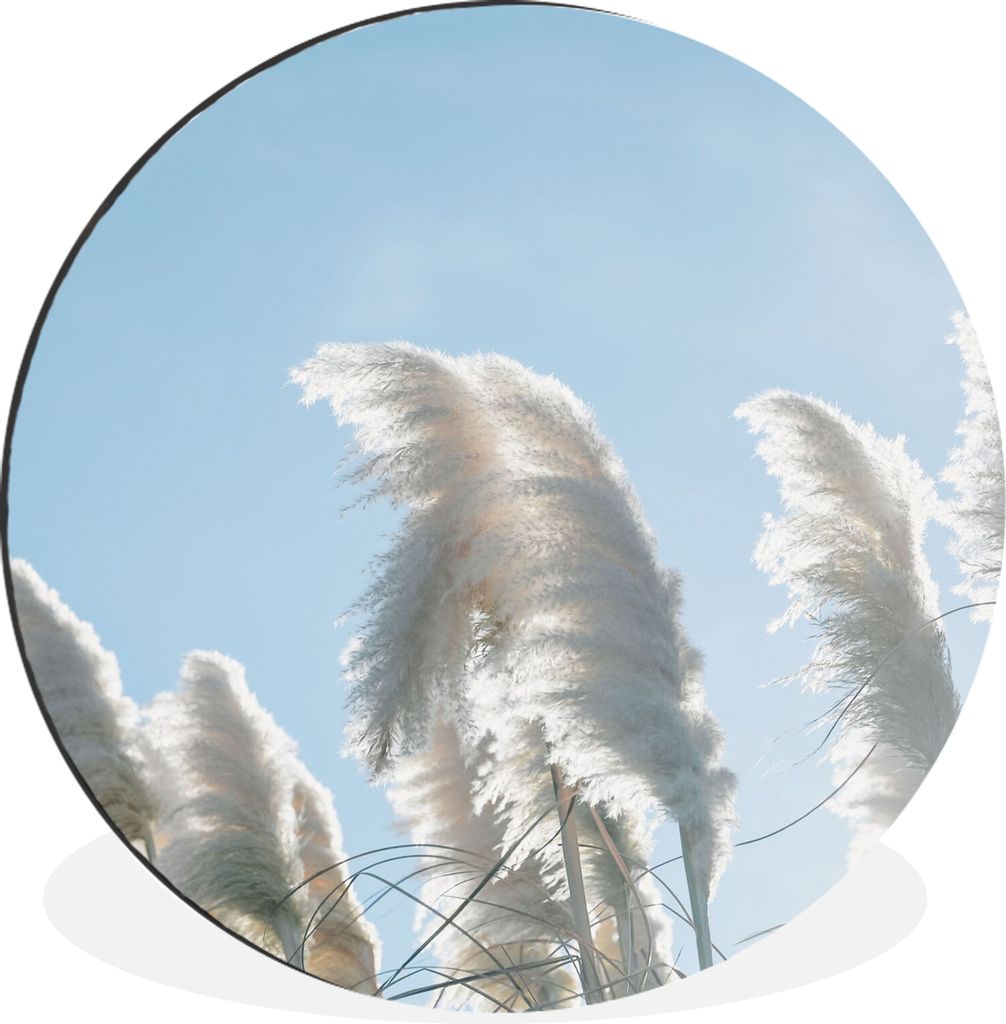 MuchoWow Aluminium Wandkreis Himmel - Gras - Pampasgras Ø 60 cm Wanddeko Modern Wohnzimmer - Wand Kreis - Wandbild - Schlafzimmer - Aluminium Bi...