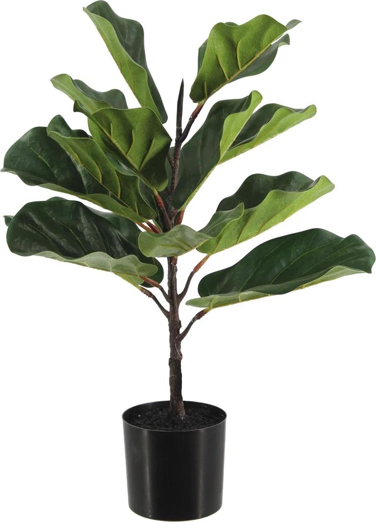 aplanta Künstlicher Ficus Lyrata - Luan | 60 cm, für drinnen, Kunstbaum, wie echt, Allergiker geeignet, pflanzliche Dekoration Praxis, Office & W...