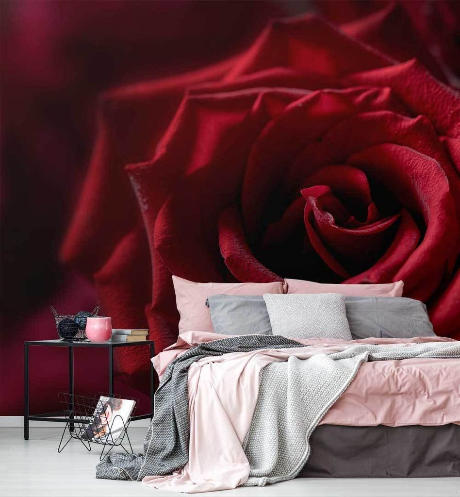 Fototapete Rote Rosen, Material:Superior Vlies 350g/qm, Größe Tapete:390 x 300cm