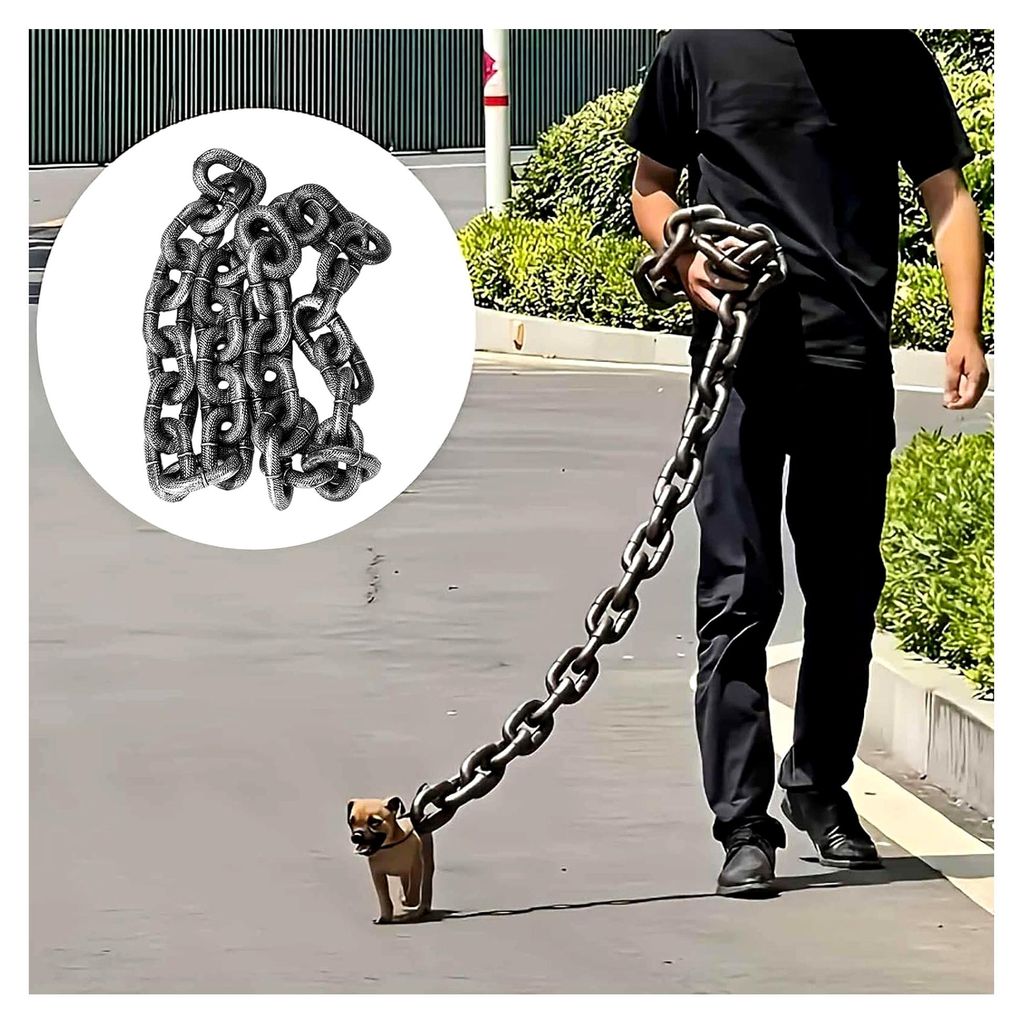 Hundeleine mit Kette für kleine und mittelgroße Hunde, Produktbild 