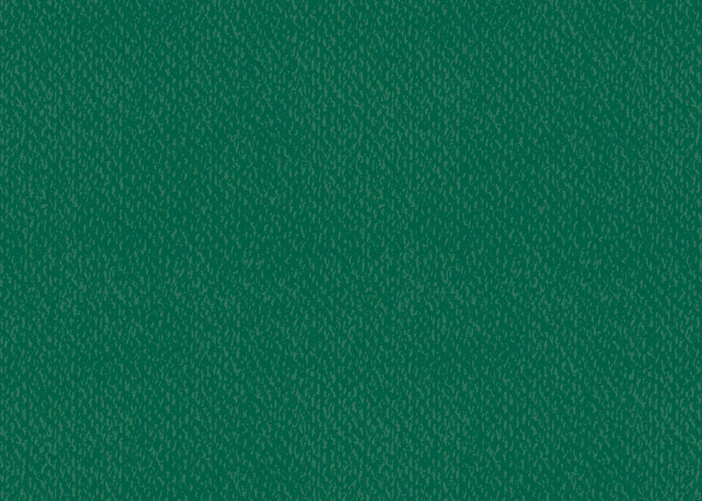 Papier Cartonné Heyda 50x70 Vert Foncé Rigide et de Haute Qualité