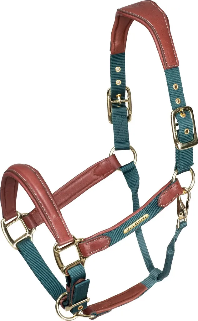 Licol en cuir matelassé vert pour poney Velociti Lusso modèle ER1675