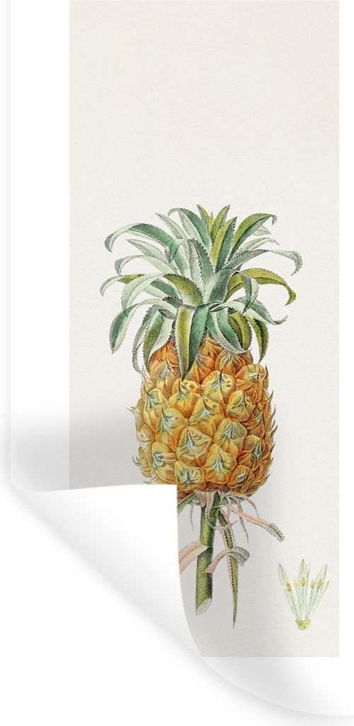 MuchoWow Wandtattoo Wandsticker Wandaufkleber Lebensmittel - Ananas - Obst 40x80 cm Selbstklebend und Repositionierbar - Repositionierbar - Wasse...