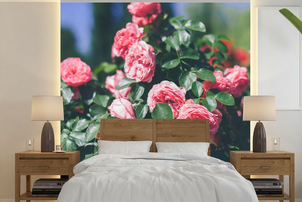 MuchoWow Fototapete für Wohnzimmer oder Schlafzimmer Wandtapete Vinyl Motivtapete Schöne rosa Rose im Sommergarten - 220x220 cm - Tapeten