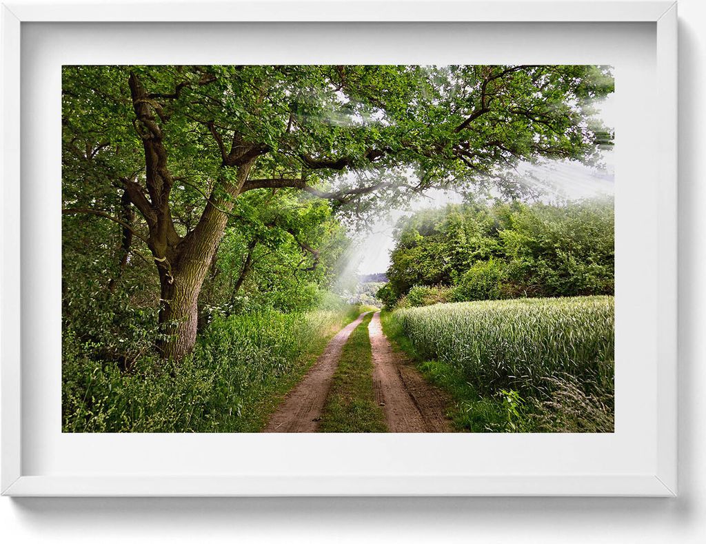 Weg, Bäume und Sonnenschein– Wandbild mit Rahmen – Gerahmtes Bild – Wanddekoration – 70x50 cm – Schwarz Rahmen