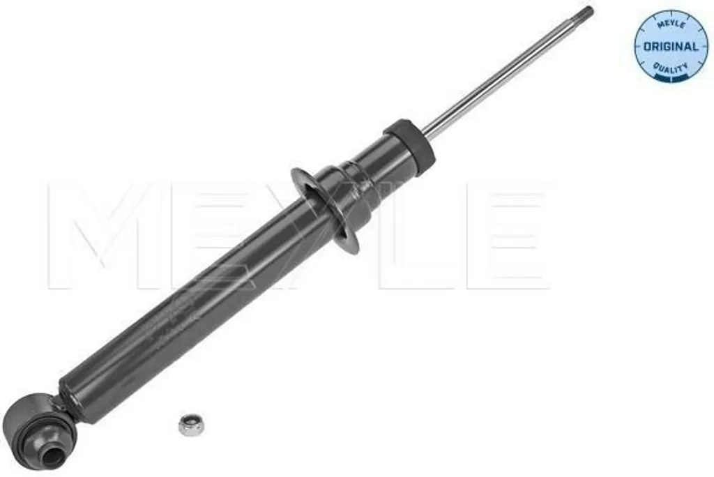 Supprimer les Bruits de Suspension : Amortisseur Arrière BMW F10 F06