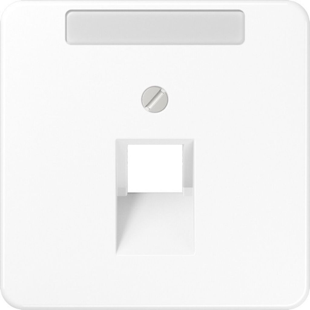 Jung Abdeckung Schriftfeld aws CD 569-1 NAUA WW CD569-1NAUAWW