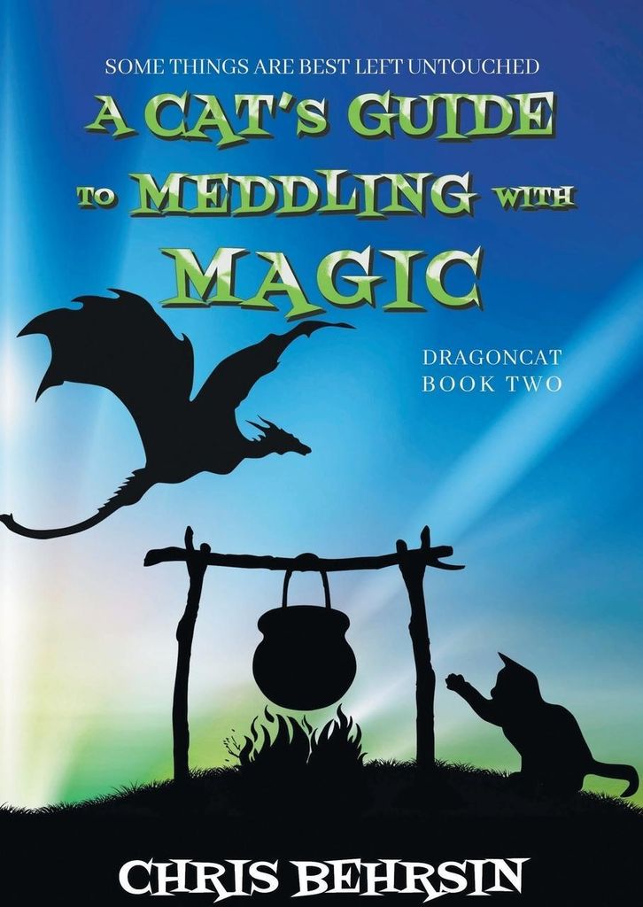 A Cat's Guide to Meddling with Magic