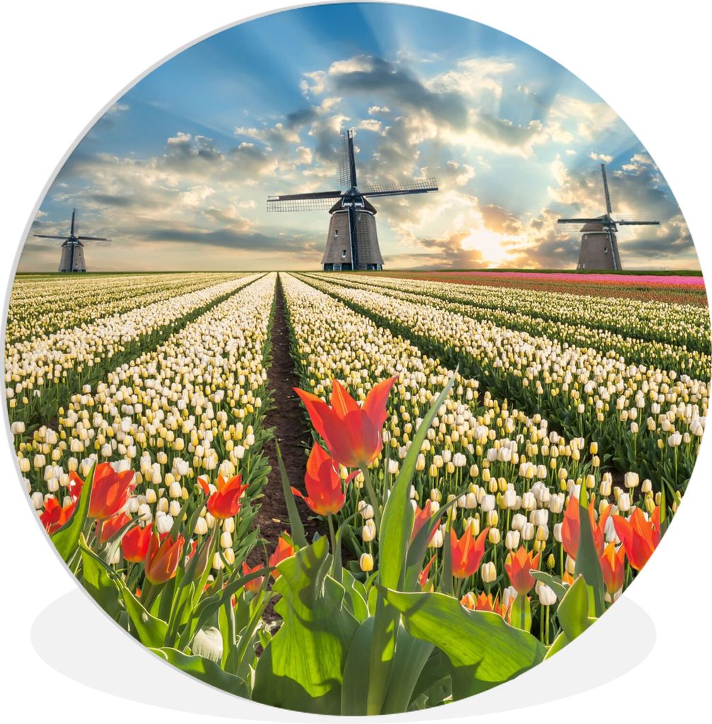 MuchoWow Rundes Wandbild - Runde Bilder Windmühle - Tulpen - Himmel - Natur Ø 60 cm Kreis Wanddekoration Kunststoff - Wandkreis - Wandschmuck -...