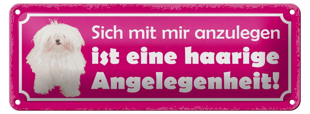 Blechschild Spruch 27x10cm Hund eine haarige Angelegenheit Produktbild 