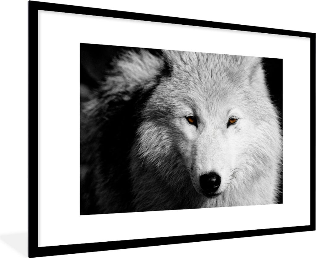MuchoWow MuchoWow Gerahmtes Poster In der Nähe Ansicht Wolf in Schwarz und Weiß 90x60 cm - Poster mit zchwarzem Bilderrahmen - Wanddekoration...