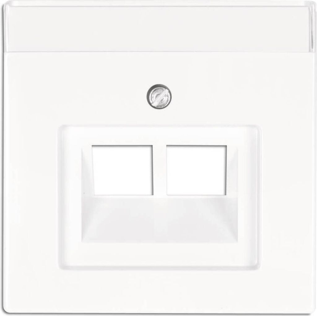 A white wall plate with two openings for network jacks.
