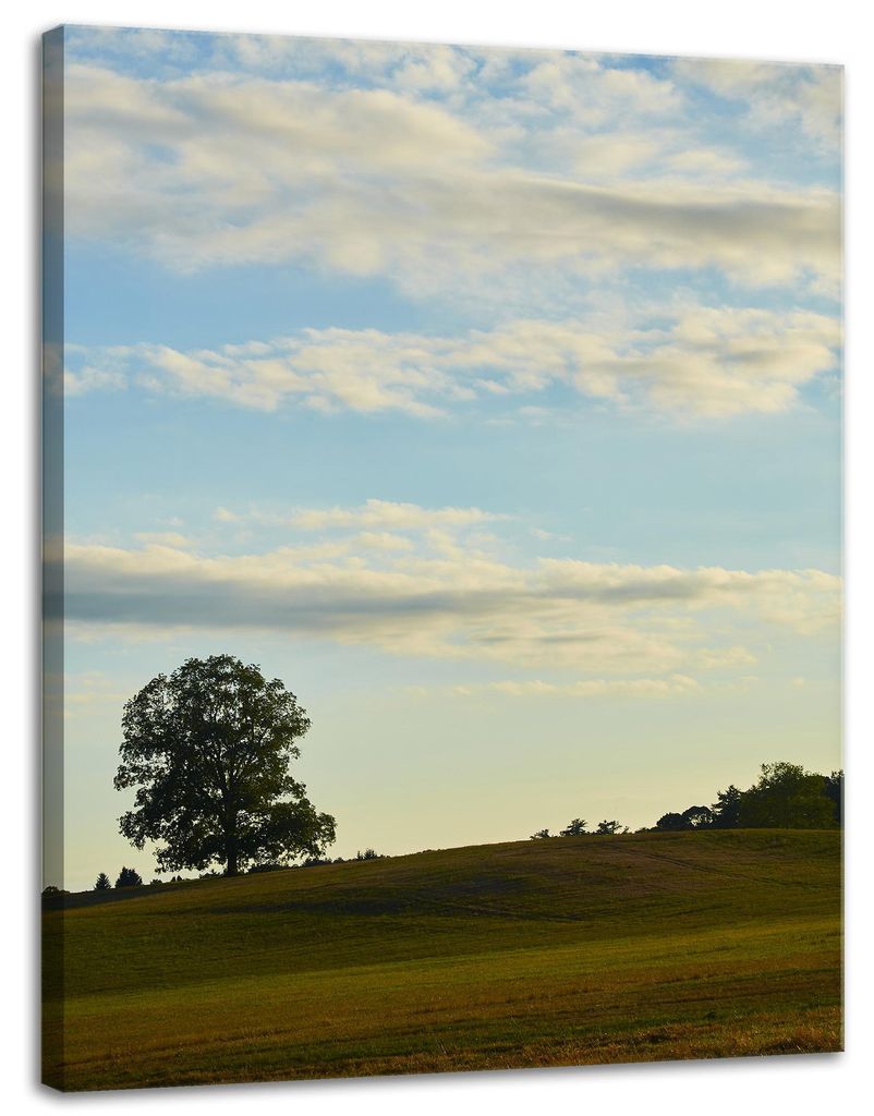 Leinwanddruck Natur Baum auf einer Wiese 30x40 cm Himmel Wiese Wolken