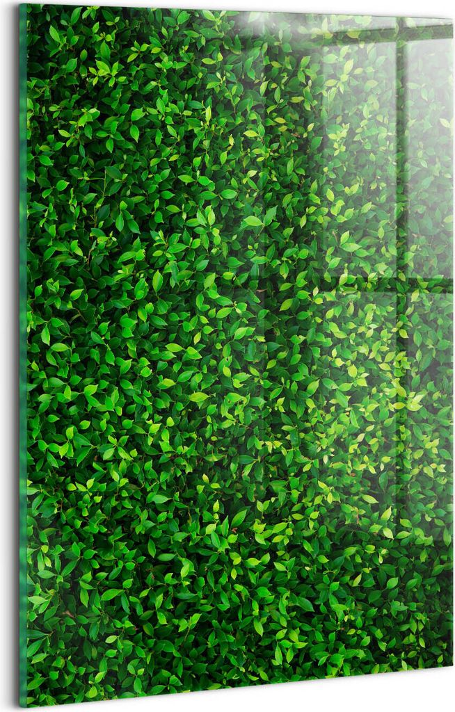 Designer Glasbild - Wandbild - Glas Bild - 20x30 cm - Heckenblätter